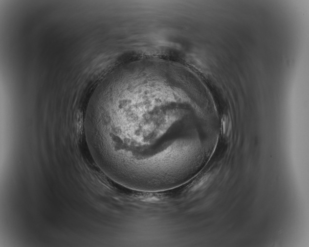 X0000086771251200704201758