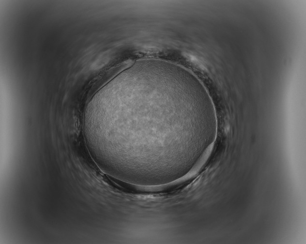 X0000086771253200704201758