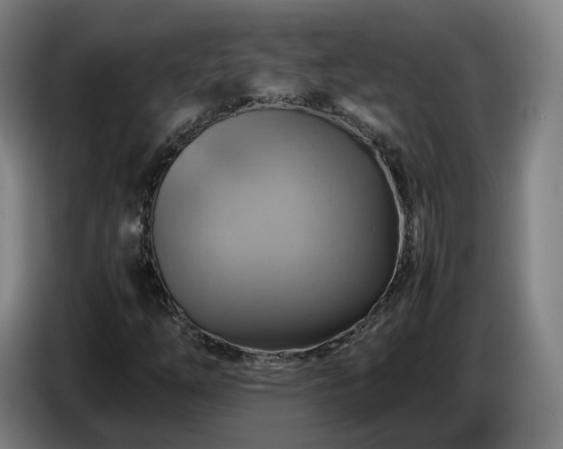 X0000086771254200704201758