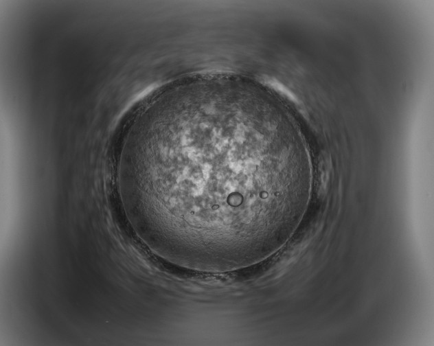 X0000086771255200704201758
