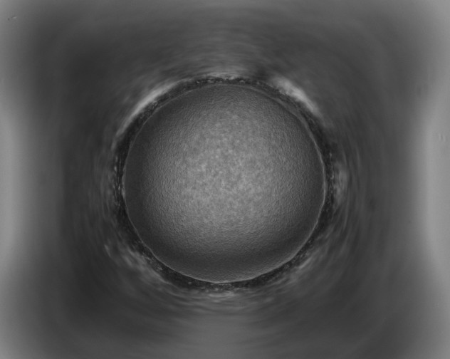X0000086771256200704201758