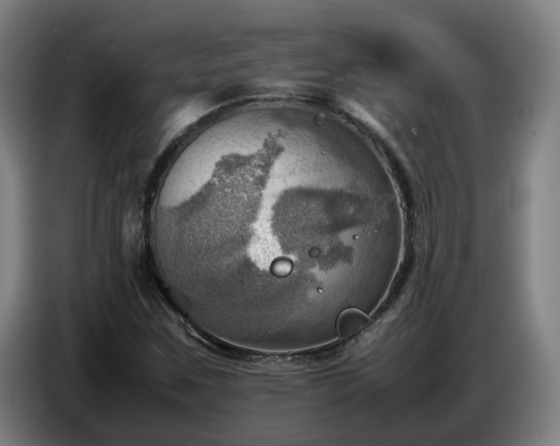 X0000086771259200704201758