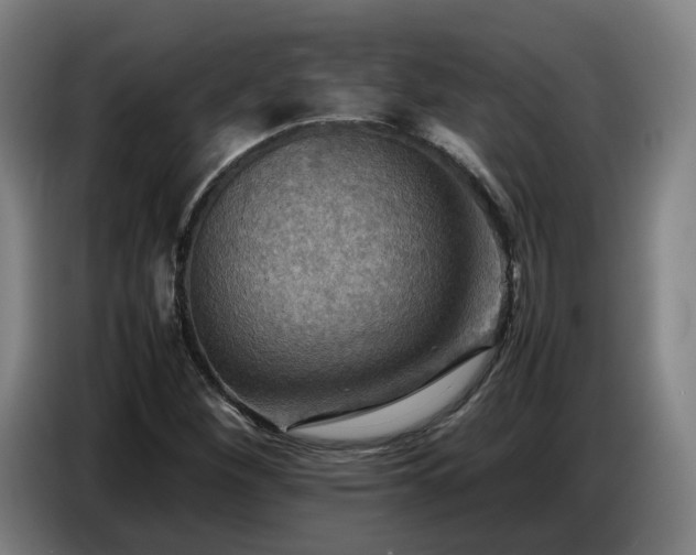 X0000086771260200704201758