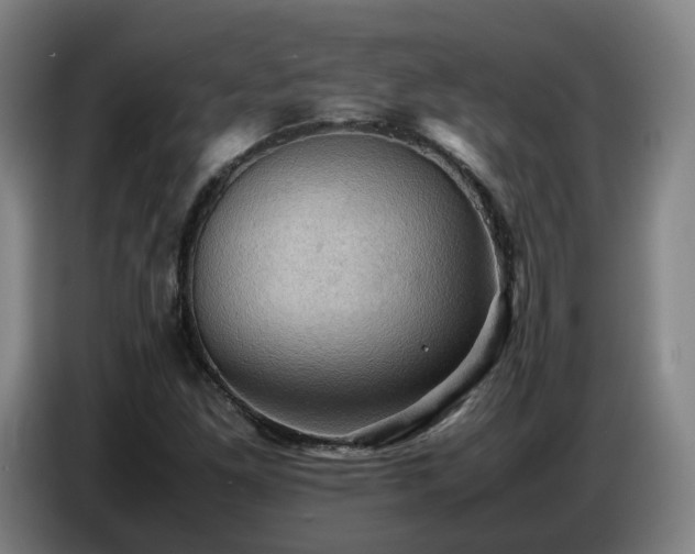 X0000086771261200704201758