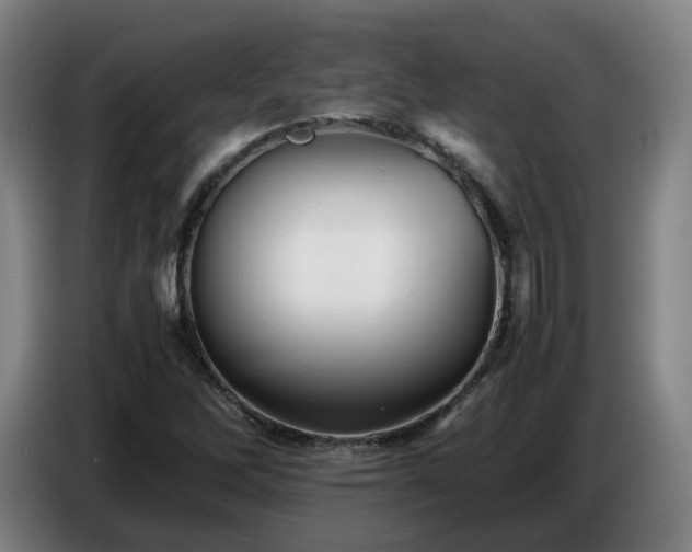 X0000086771262200704201758