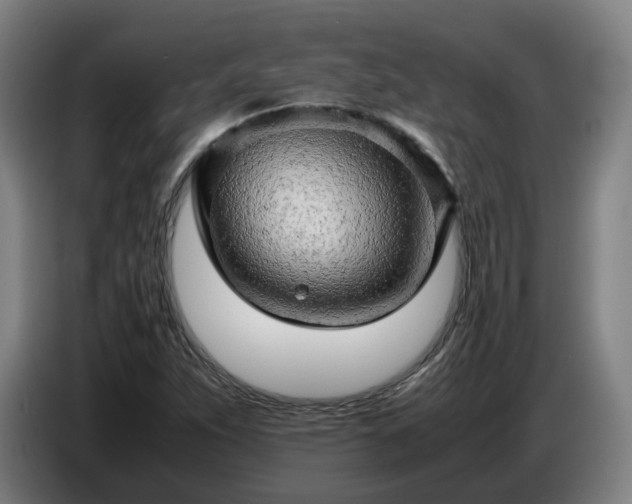 X0000086771263200704201758