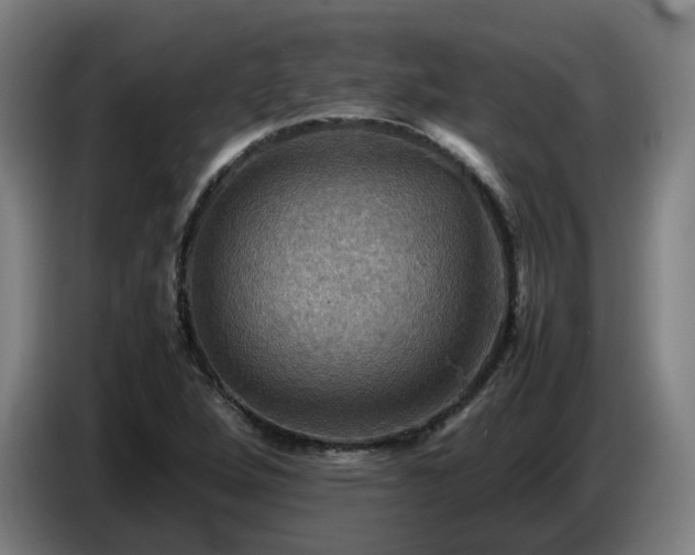 X0000086771264200704201757