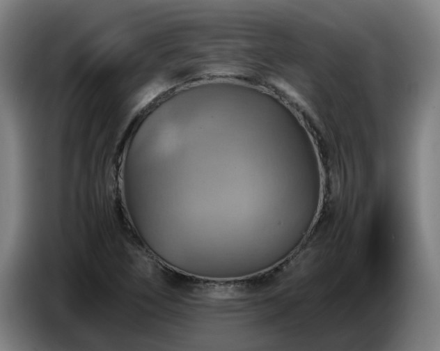 X0000086771266200704201757