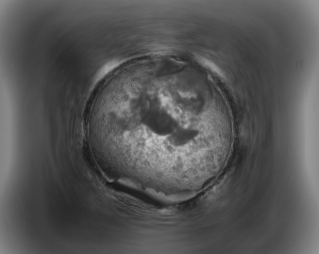 X0000086771267200704201757