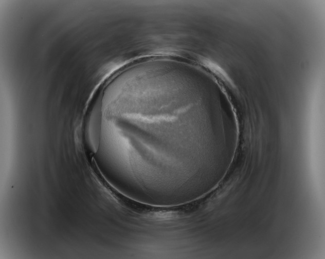 X0000086771268200704201757