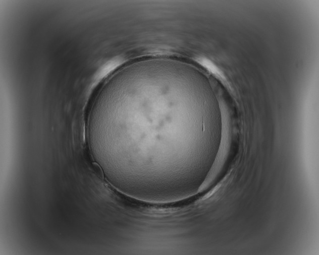 X0000086771269200704201757
