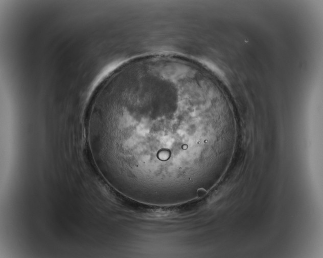 X0000086771271200704201757