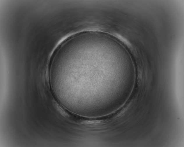 X0000086771272200704201757
