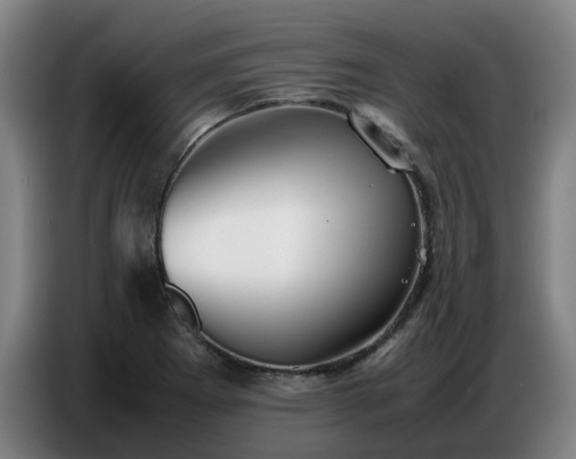 X0000086771273200704201757