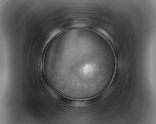 X0000086771274200704201757