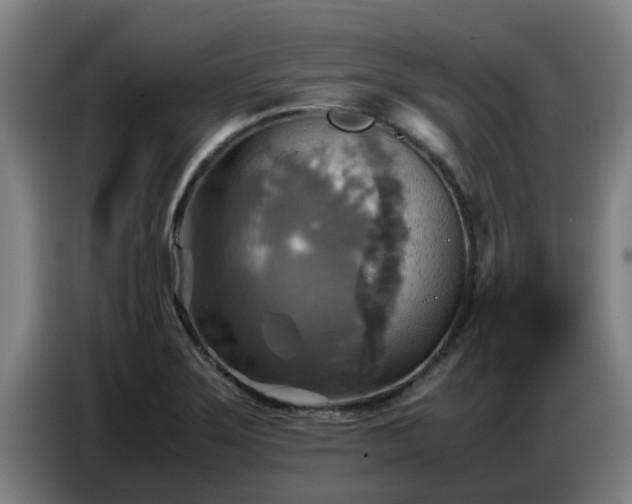 X0000086771275200704201757