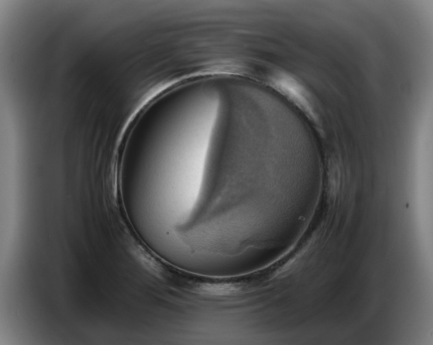 X0000086771276200704201757