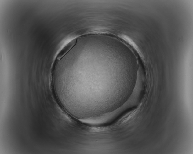 X0000086771277200704201757
