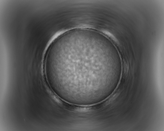 X0000086771278200704201757