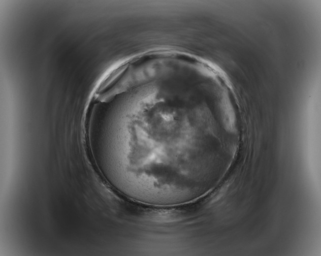 X0000086771279200704201757