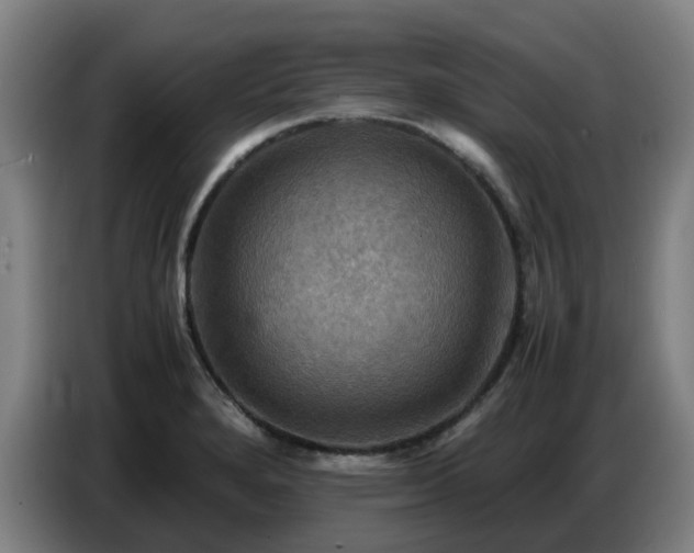 X0000086771280200704201757
