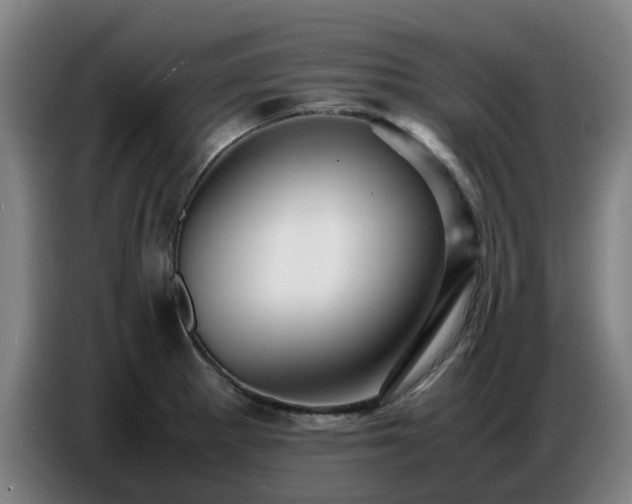 X0000086771281200704201757