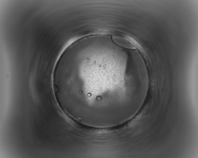 X0000086771283200704201757