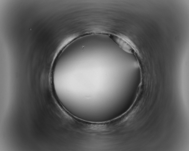 X0000086771285200704201757