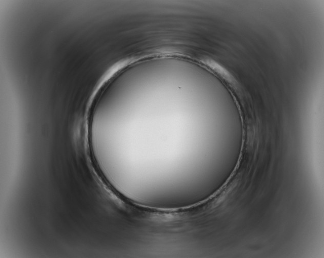 X0000086771286200704201757