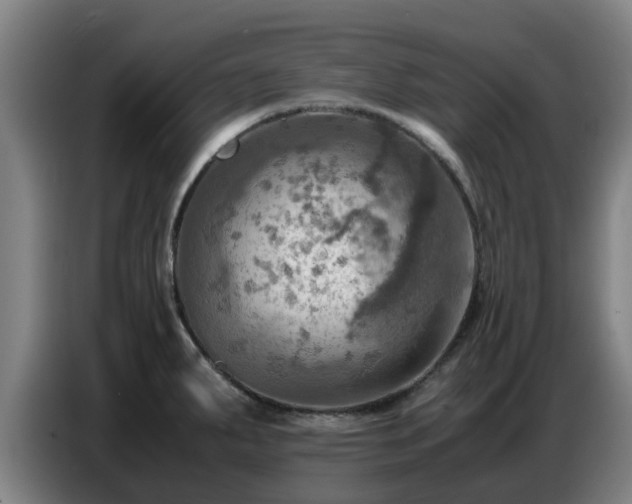 X0000086771287200704201757