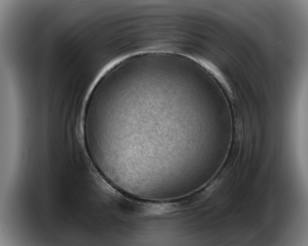 X0000086771288200704201757