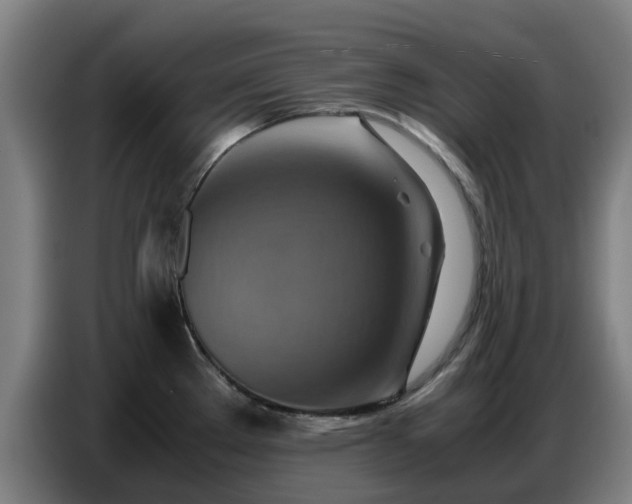 X0000086771289200704201757