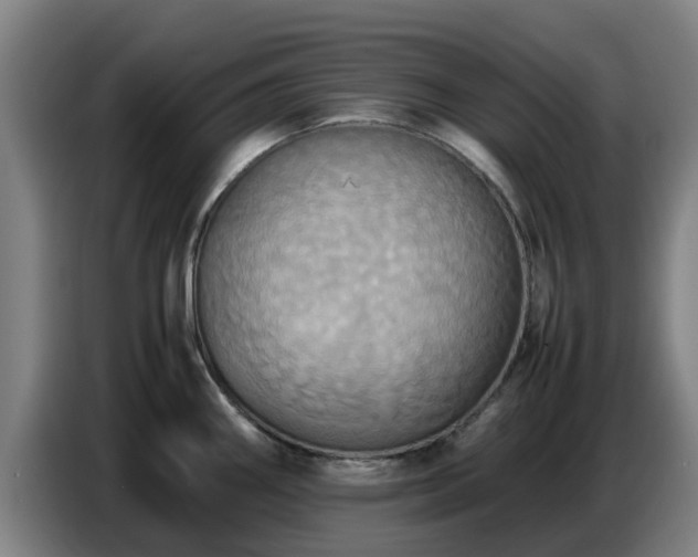 X0000086771290200704201757