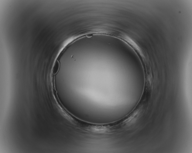 X0000086771291200704201757