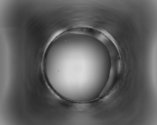 X0000086771293200704201757