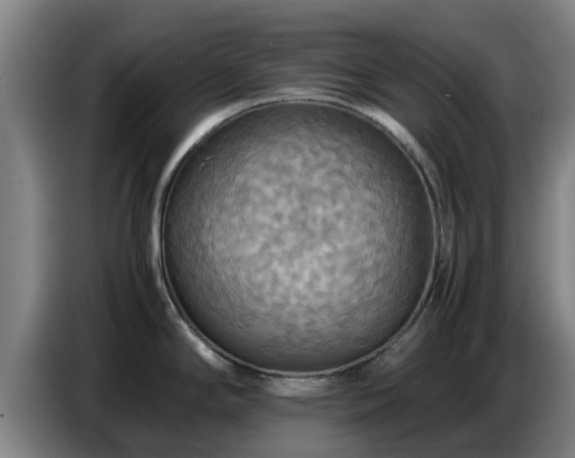 X0000086771294200704201757