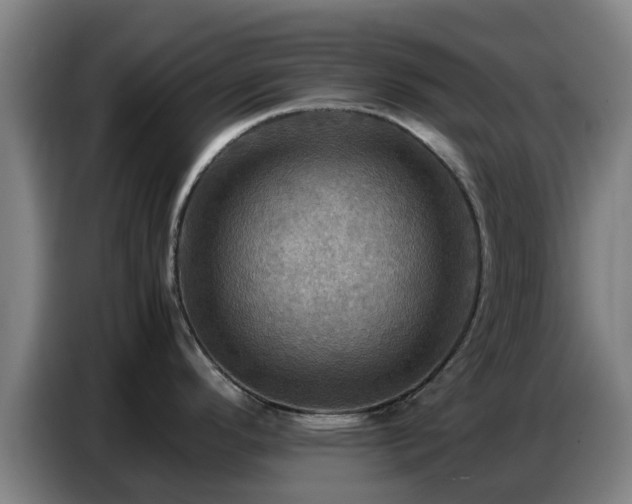 X0000086771296200704201757