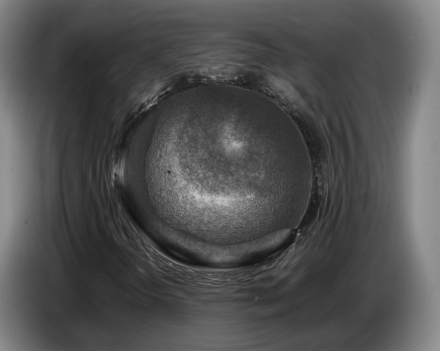 X0000086771298200704201756