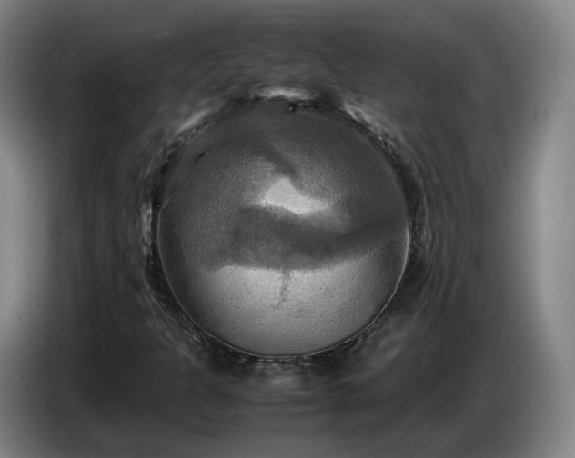 X0000086771301200704201757