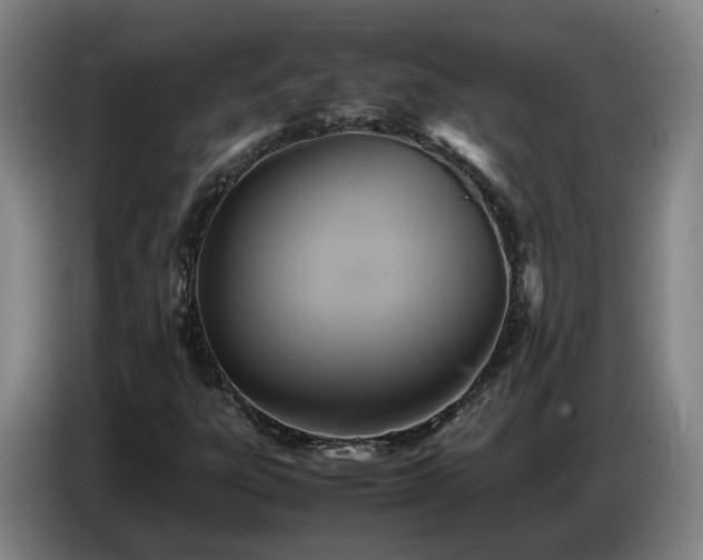 X0000086771303200704201757