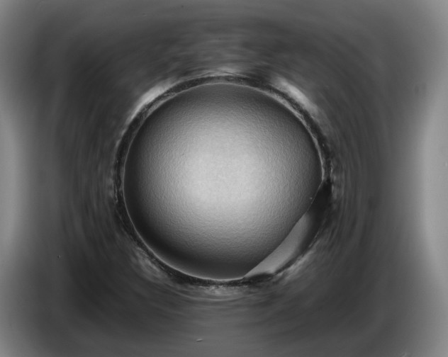 X0000086771308200704201757