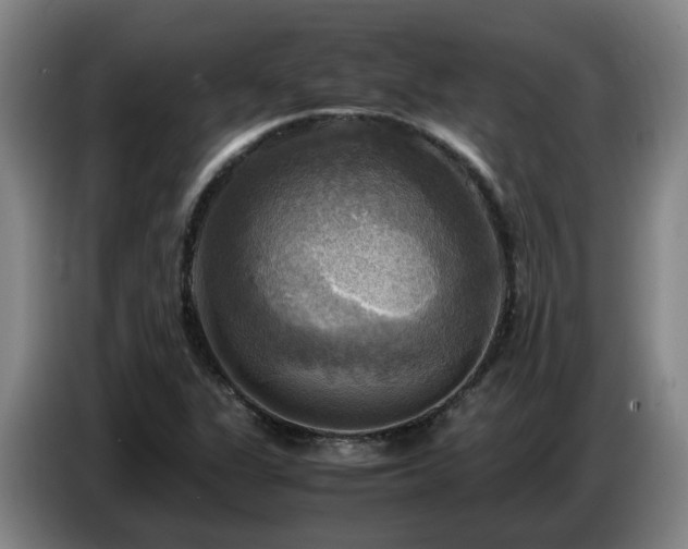X0000086771311200704201757