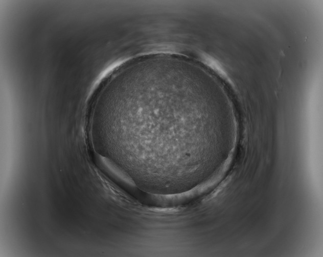 X0000086771312200704201757
