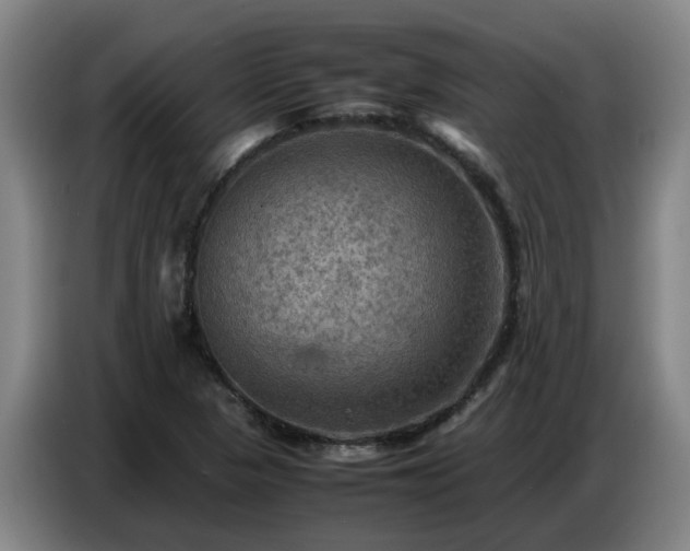 X0000086771313200704201757