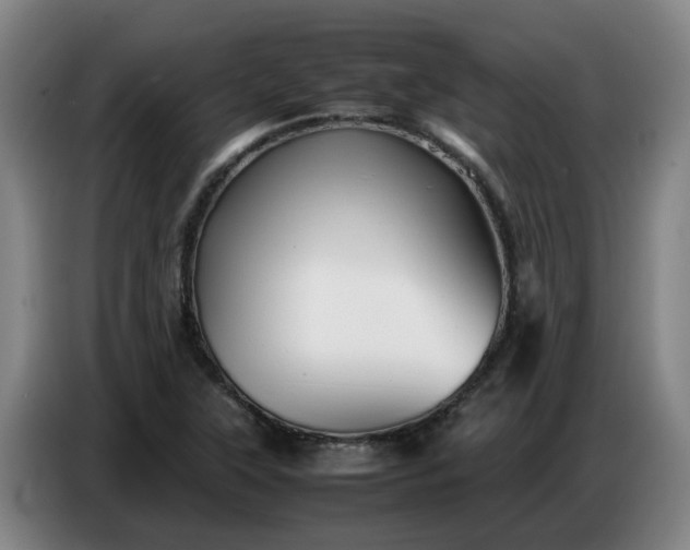 X0000086771315200704201757
