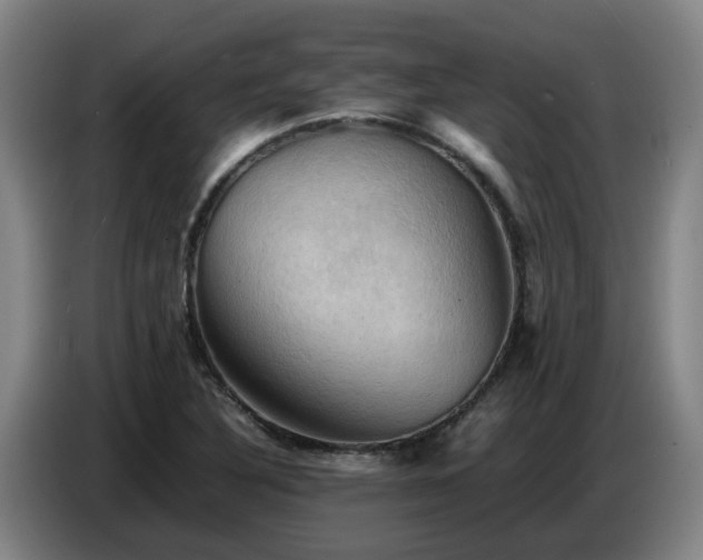 X0000086771316200704201757