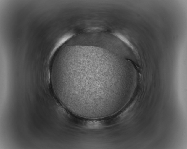 X0000086771317200704201757
