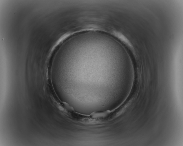 X0000086771318200704201757