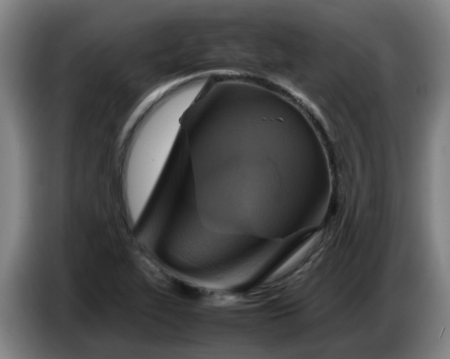 X0000086771319200704201757