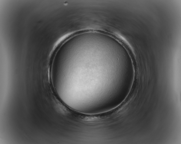 X0000086771320200704201757